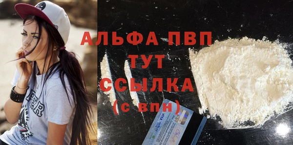 гашик Пересвет