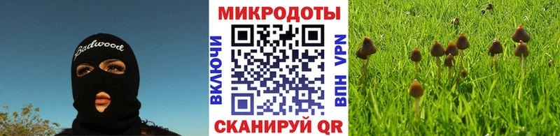 что такое наркотик  Новоалтайск  Галлюциногенные грибы MAGIC MUSHROOMS 