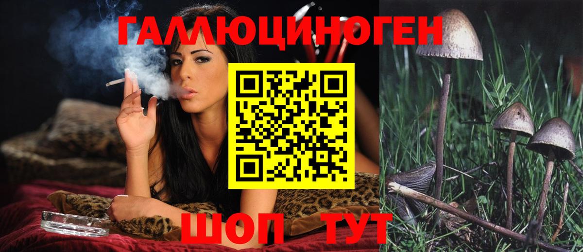 Псилоцибиновые грибы Magic Shrooms  Вход с VPN  Новоалтайск 